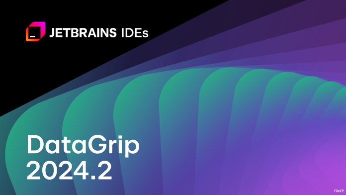 JetBrains DataGrip 2024.2.2 Free Download - FileCP